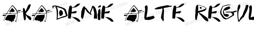Akademie Alte Regula字体转换